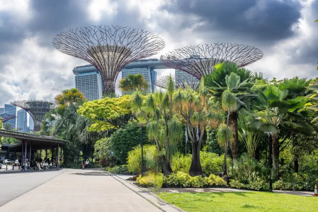 In den Gardens by the Bay