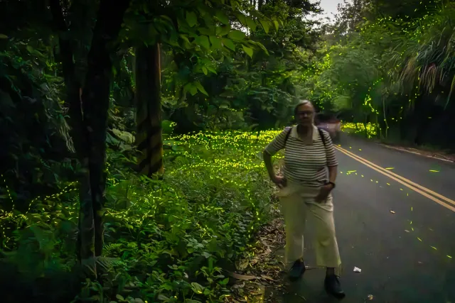 Karin und die Glühwürmchen