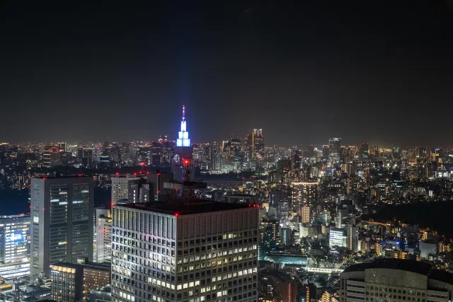 Blick vom 45. Stock des Tokyo Metropolitan Government Building