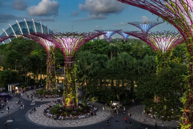 Der Baumpfad in den "Gardens by the Bay"