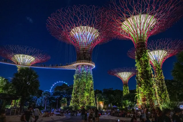 Entspannter Abschied von den Gardens by the Bay