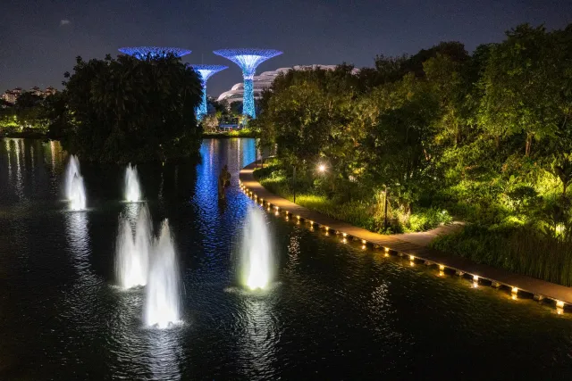 Letzter Blick auf die "Giant Trees"