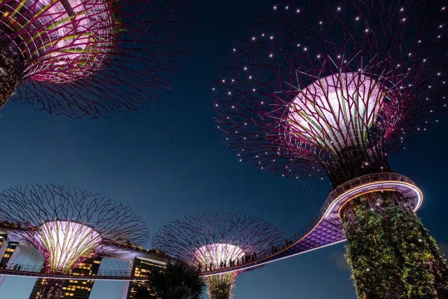 Der Baumpfad in den "Gardens by the Bay"