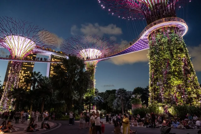 Der Baumpfad in den "Gardens by the Bay"