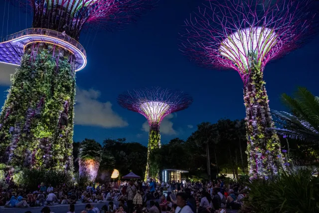 Der Baumpfad in den "Gardens by the Bay"