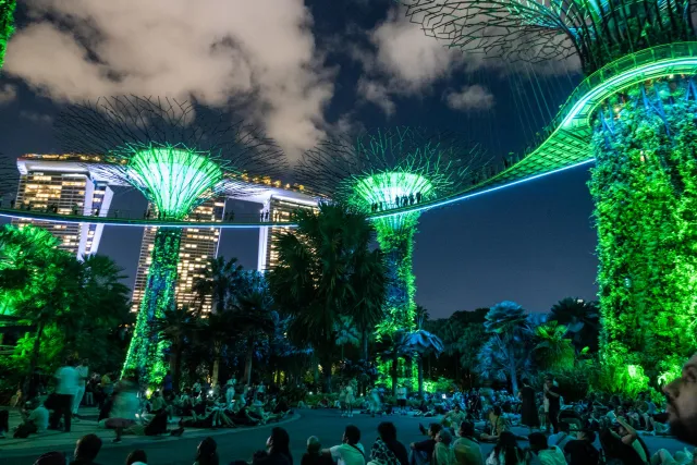 Der Baumpfad in den "Gardens by the Bay"