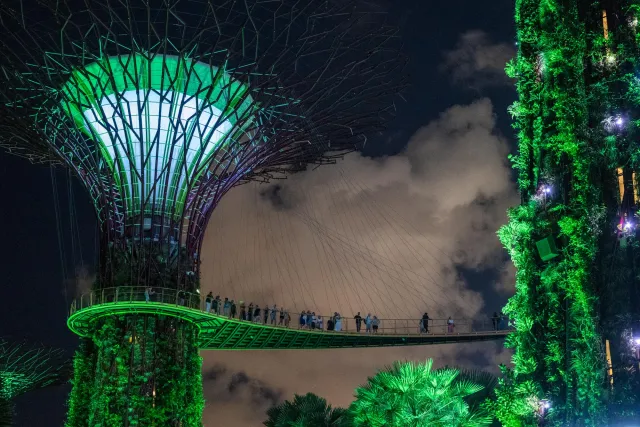 Der Baumpfad in den "Gardens by the Bay"