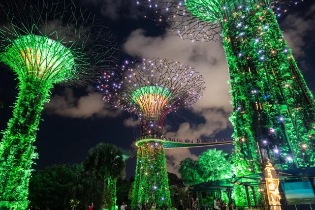 Der Baumpfad in den "Gardens by the Bay"