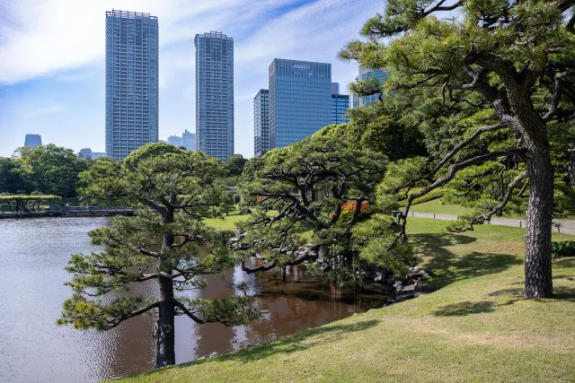Hochhäuser am Hama-rikyū Garten
