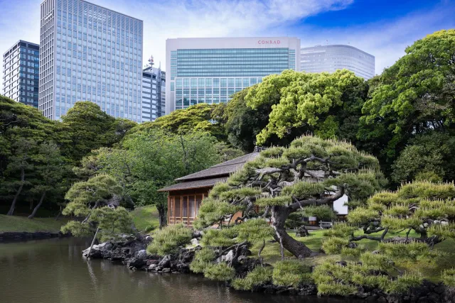 Hochhäuser am Hama-rikyū Garten