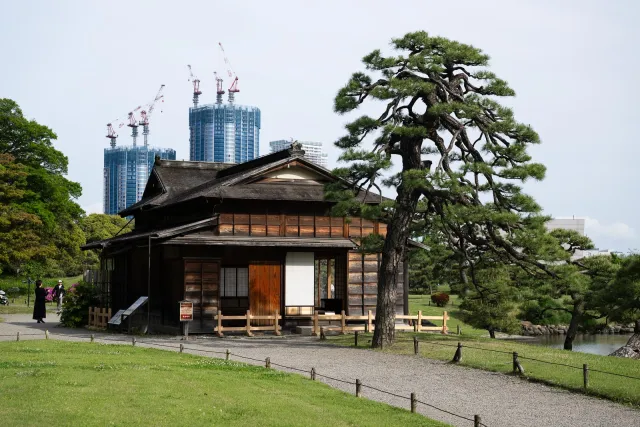 Tradition trifft Moderne am Hama-rikyū Garten