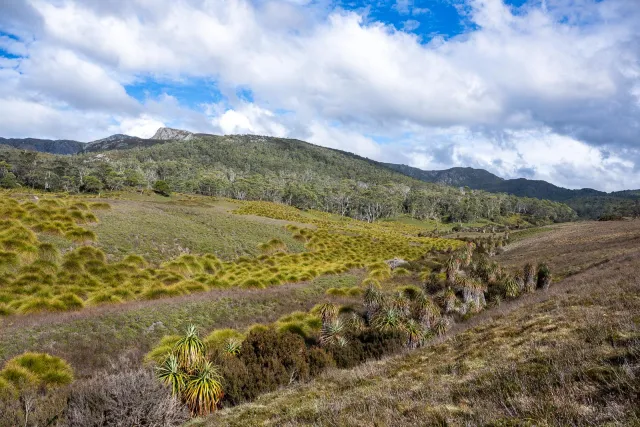 Ebenen im Cradle-Mountain-Lake-St.-Clair-Nationalpark