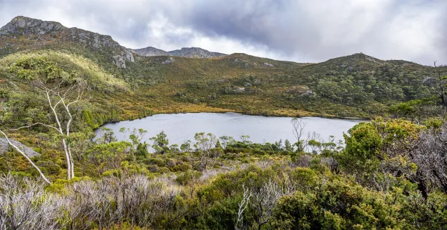 See im Cradle-Mountain-Lake-St.-Clair-Nationalpark