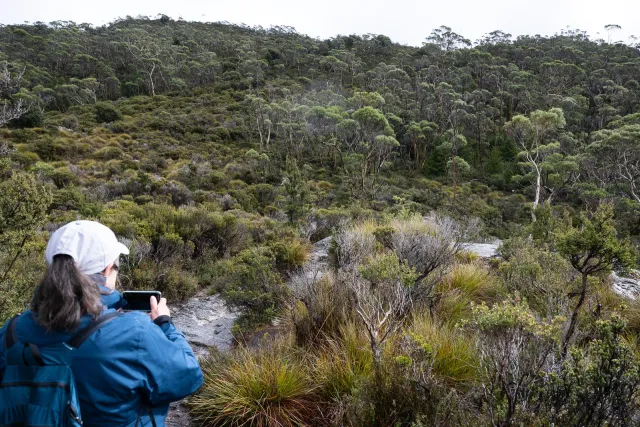 Karin Im Regenwald des Cradle-Mountain-Lake-St.-Clair-Nationalpark