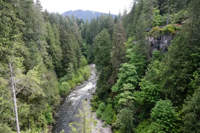 Der Capilano River von der Suspension Bridge aus
