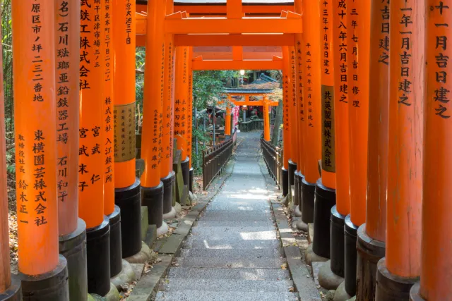 Der Abstieg zur Zwischenstation