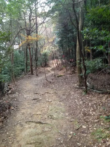 Auf dem Higashiyama-Trail