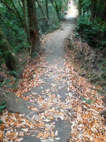 Auf dem Higashiyama-Trail