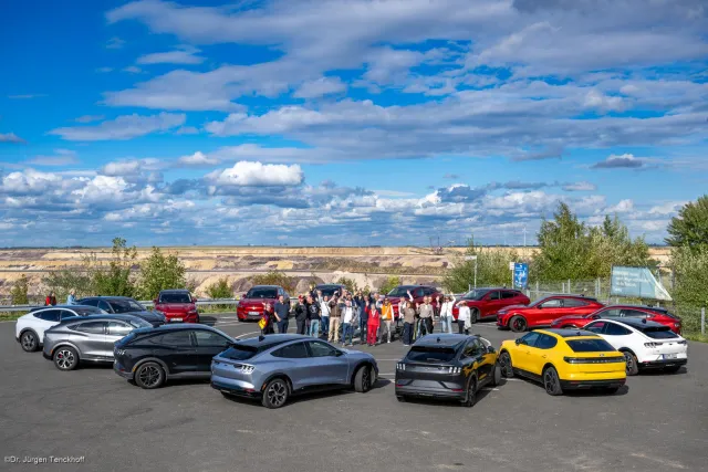 Tagebau Garzweiler: Die Mustangs sortieren sich im Bild einer Schaufel