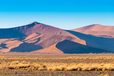 The dunes of the Namib desert